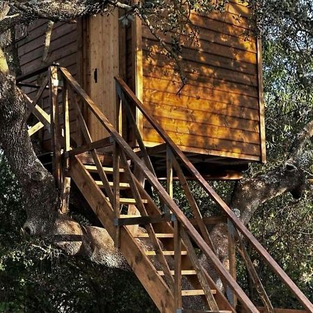 Cabana Del Arbol Lavagarural Villanueva del Rosario Exteriér fotografie