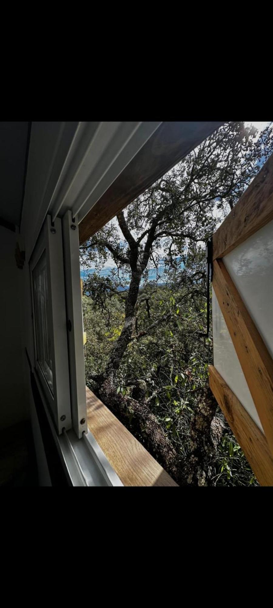Cabana Del Arbol Lavagarural Villanueva del Rosario Exteriér fotografie