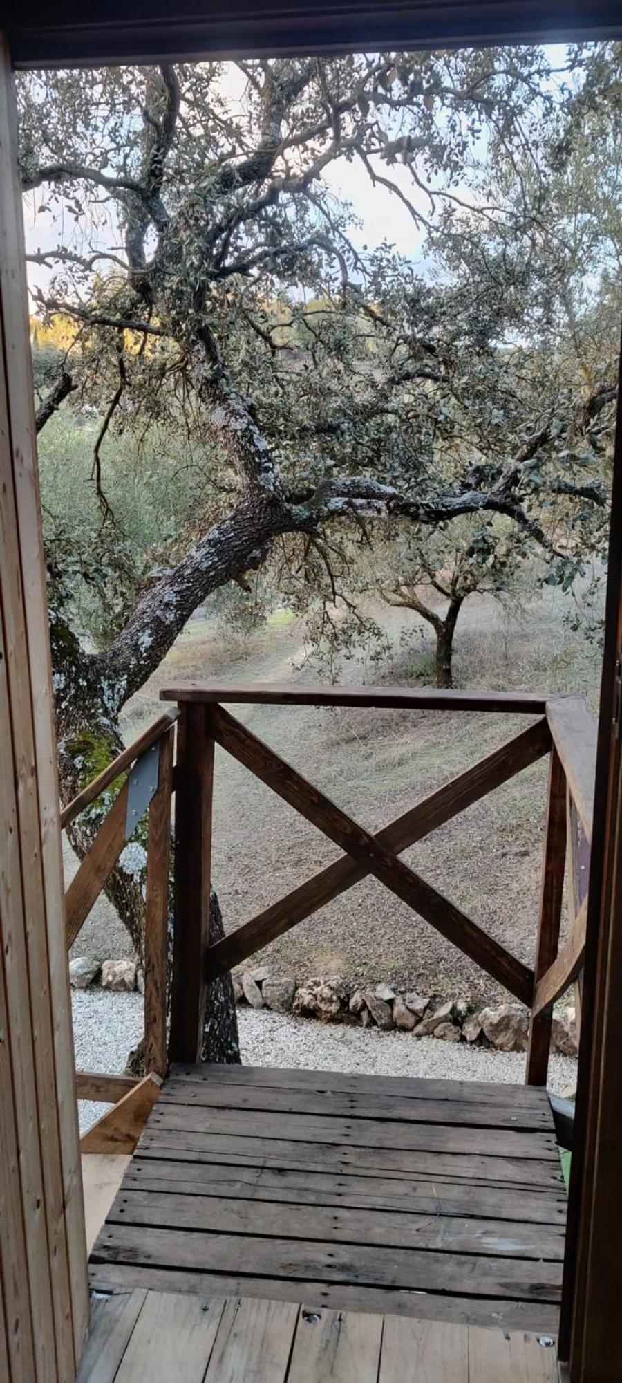 Cabana Del Arbol Lavagarural Villanueva del Rosario Exteriér fotografie