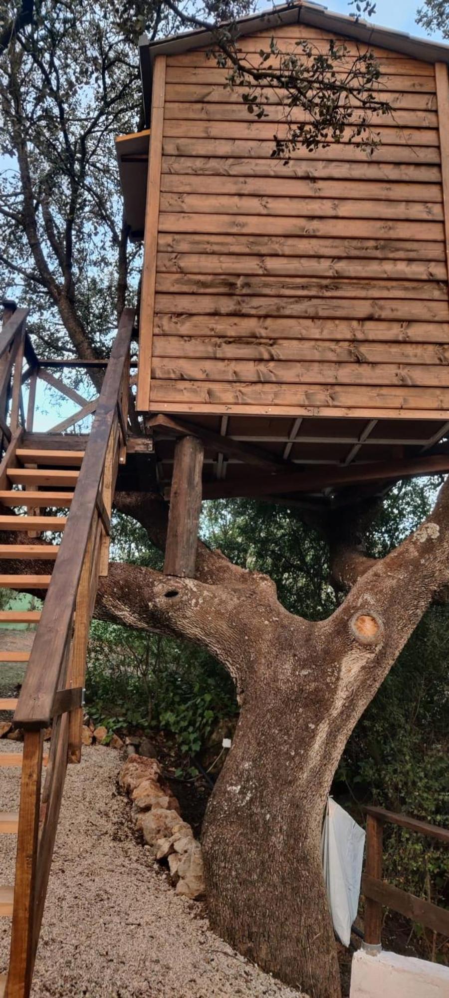 Cabana Del Arbol Lavagarural Villanueva del Rosario Exteriér fotografie